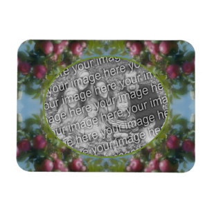 Red Apples On Tree Frame Add Your Photo Magnet