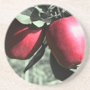 Red Apples On Tree Nature Coaster
