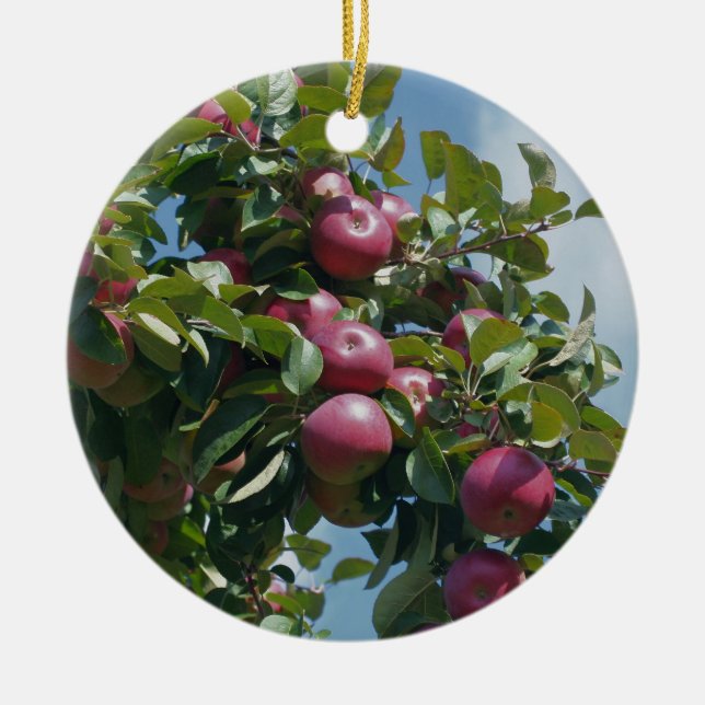 Red Apples On Tree Nature Ornament (Front)