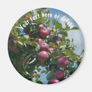 Red Apples On Tree Nature Personalised Magnet