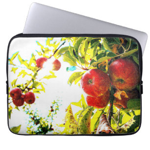 "Red Apples Tree On Sunny Day" Cute Photo. Buy Now Laptop Sleeve
