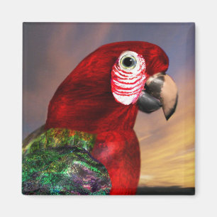 RED ARA MAGNET