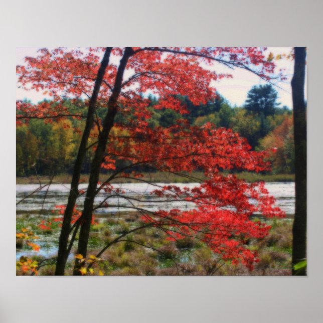 Red Autumn Foliage Marsh Orton Effect Poster (Front)