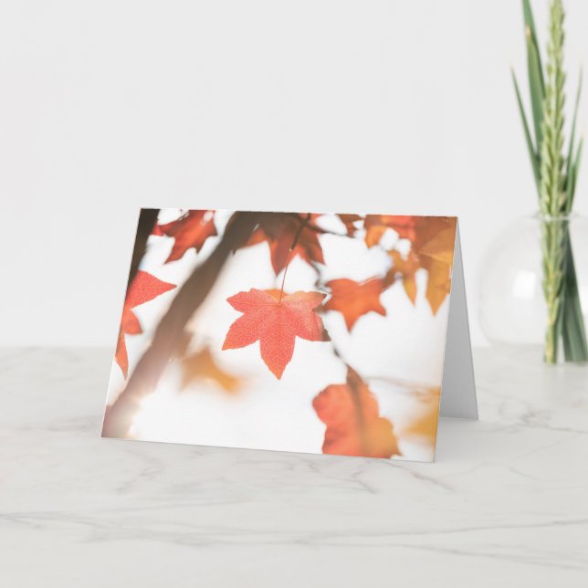 Red Autumn Leaf Nature Photo Card (Front)