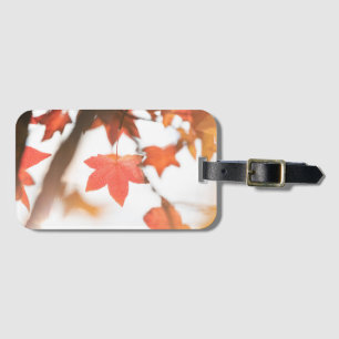 Red Autumn Leaf Nature Photo Luggage Tag