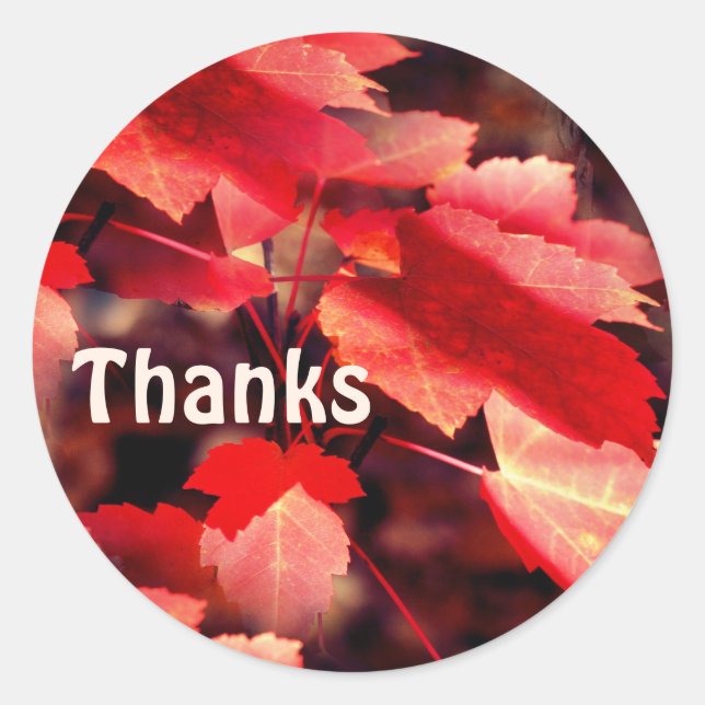 Red Autumn Leaves Nature Thank You Classic Round Sticker (Front)