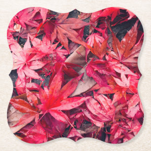 Red Autumn Leaves Paper Coaster