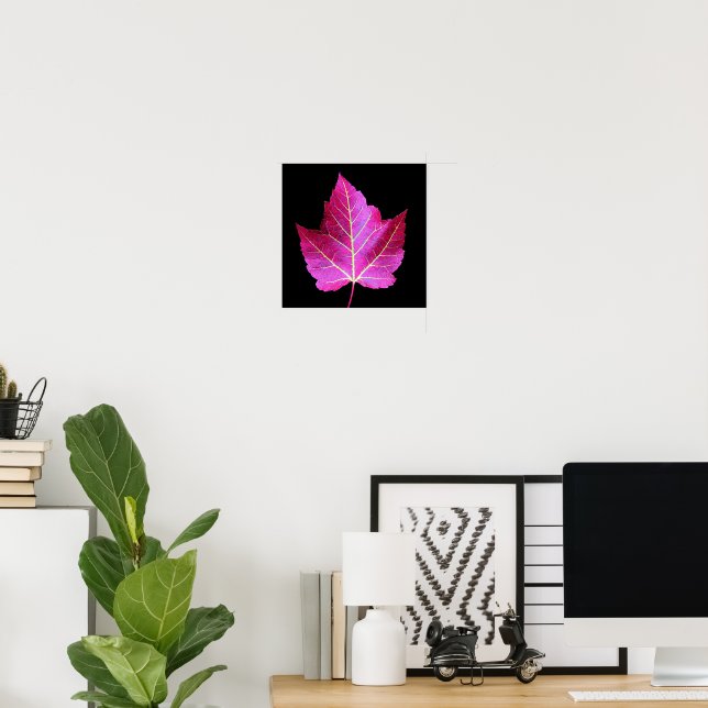 Red Autumn Maple Leaf on Black Background Poster (Home Office)