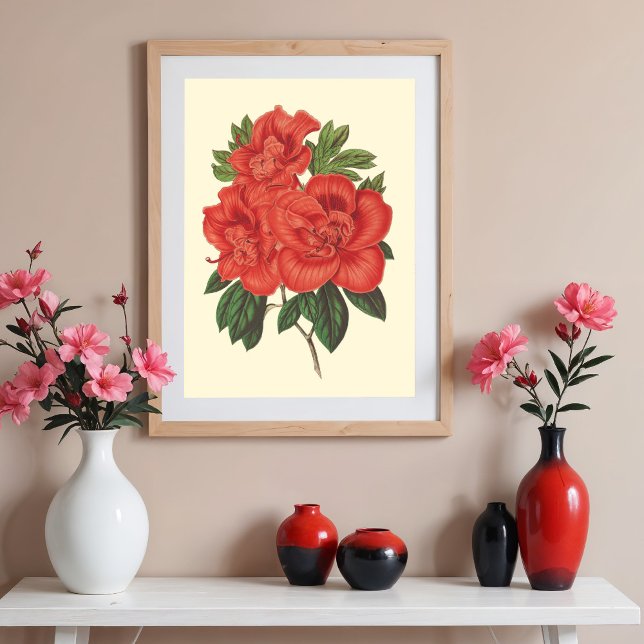 Red Azalea botanical Illustration Poster (Creator Uploaded)