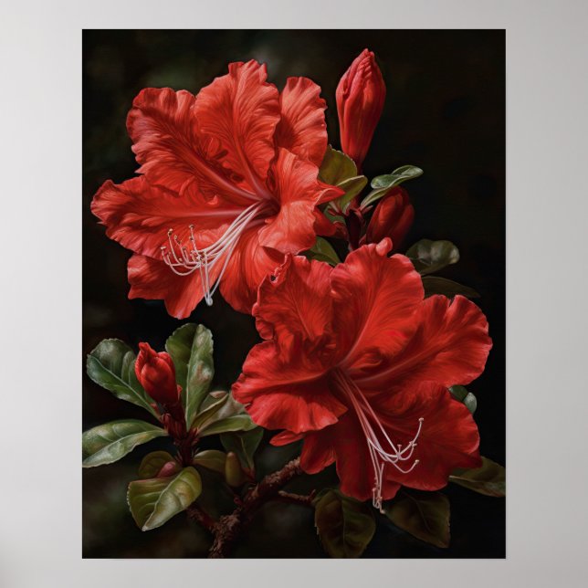 Red Azalea Flowers Art Print Poster (Front)