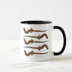 Red Backed Salamanders Mug