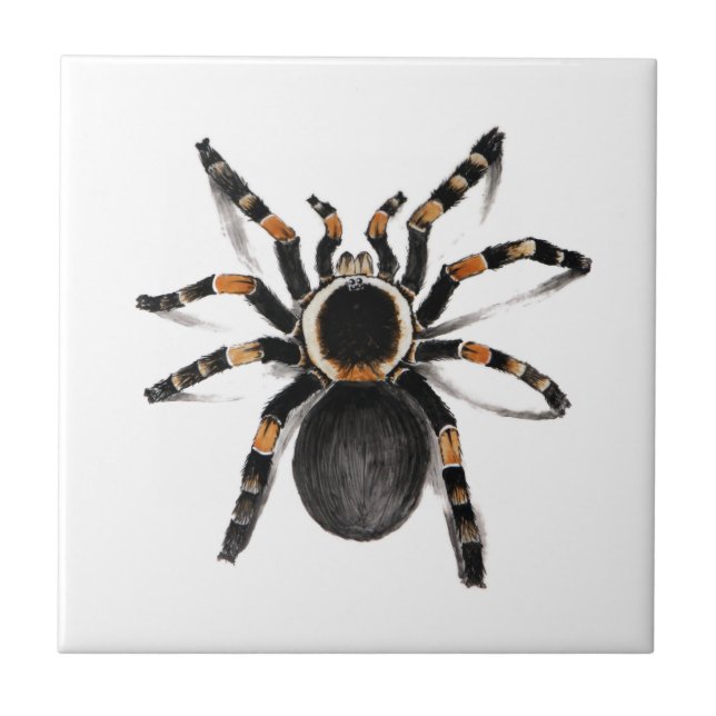 Red Banded Tarantula Spider Tile (Front)