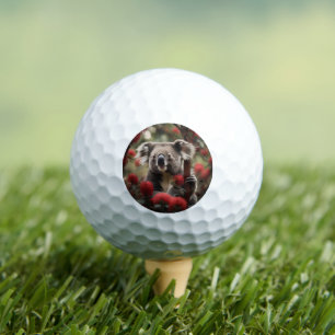 Red Banksia Tree With A Koala Bear, Golf Balls