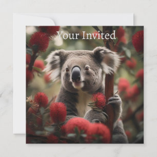 Red Banksia Tree With Koala Bear, Invitation
