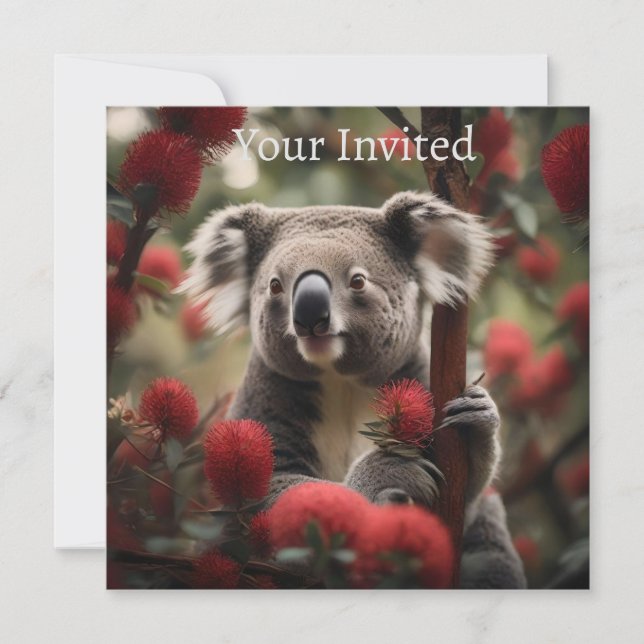 Red Banksia Tree With Koala Bear, Invitation (Front)