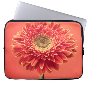 Red Barberton Gerbera Daisy Flower Laptop Sleeve