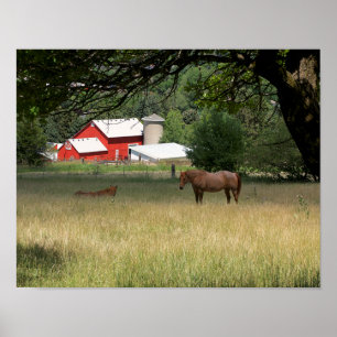 Red Barn And Horses Poster