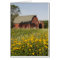 Red Barn and Yellow Wildflowers