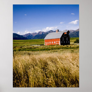 Red barn in field near Joseph, Oregon, USA Poster