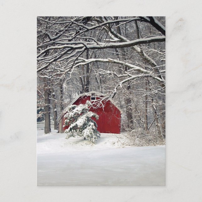Red Barn in the Snow 2011 Postcard (Front)