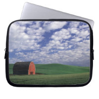 Red barn in wheat & barley field in Whitman