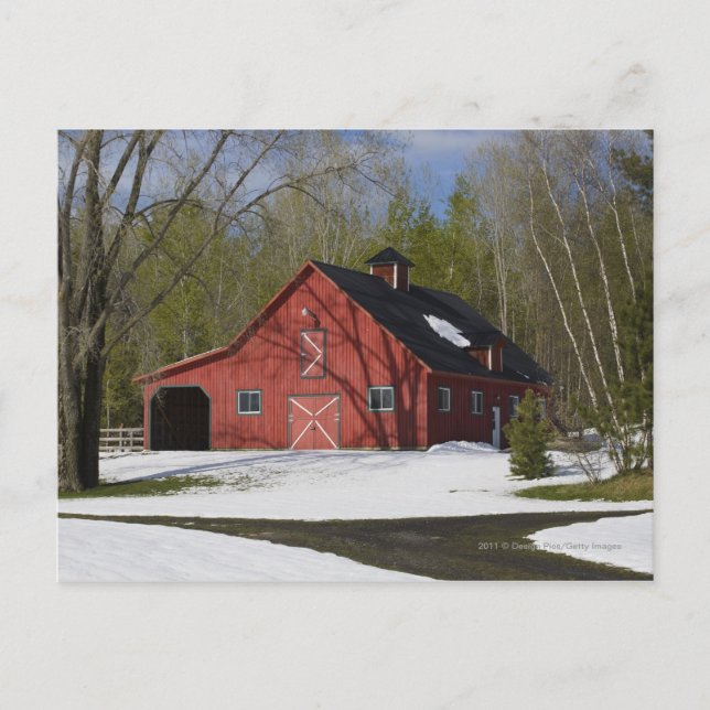 Red Barn In Winter Postcard (Front)