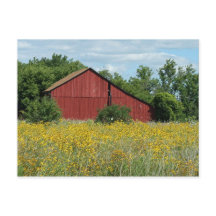 Red Barn Postcard