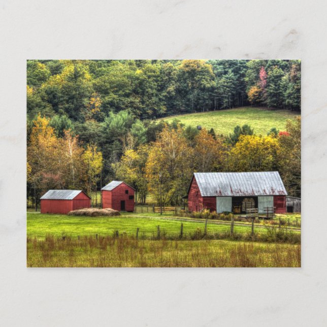 Red Barns Autumn Fall Virginia Countryside Postcard (Front)