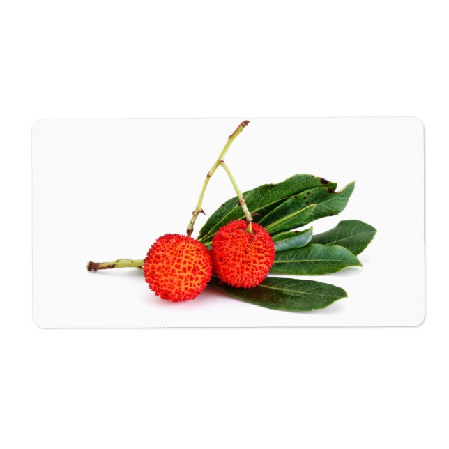 red bayberry (Front)