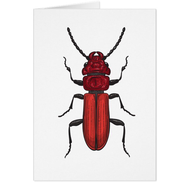 Red beetle (Front)