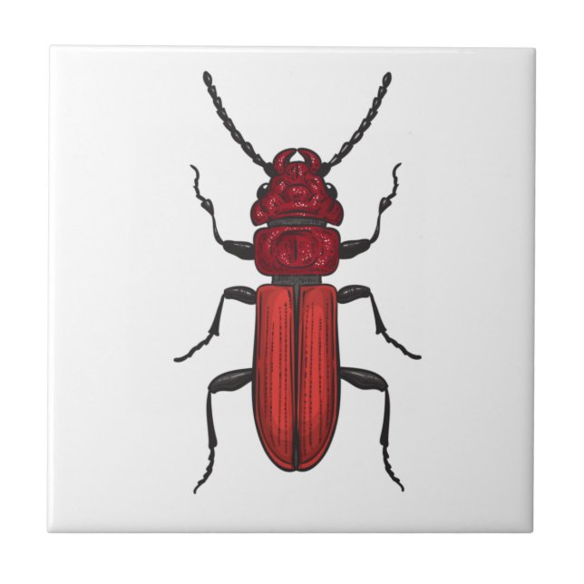 Red beetle ceramic tile (Front)