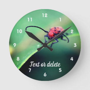 Red Beetle Insect Close Up Personalised Round Clock