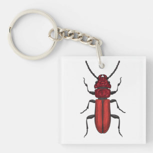 Red beetle key ring
