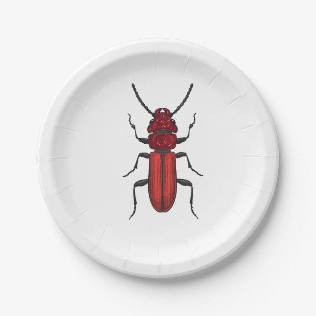 Red beetle paper plate (Front)