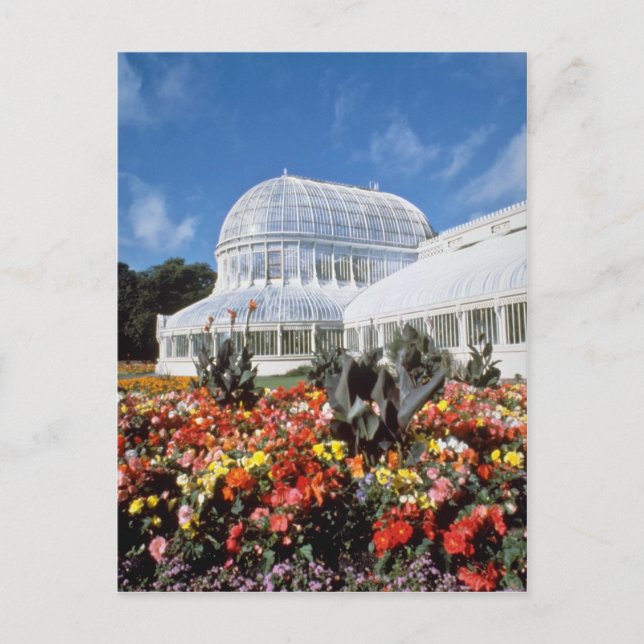 Red Belfast, Palm House, Botanical Gardens, Irelan Postcard (Front)