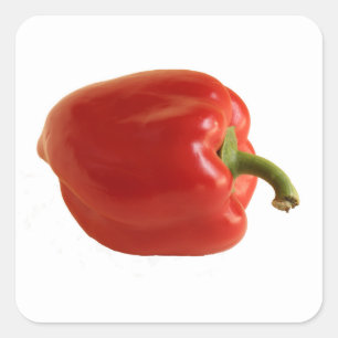 Red Bell Pepper Bright Photo on Classic  Square Sticker