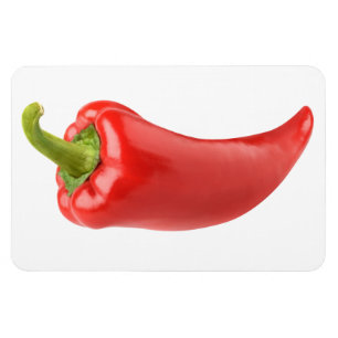 Red bell pepper magnet