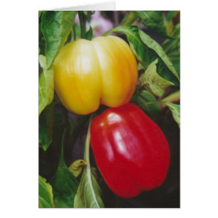 Red Bell Peppers Greeting Card