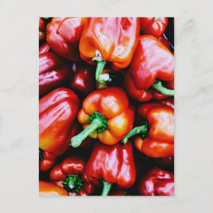 Red Bell Peppers Postcard