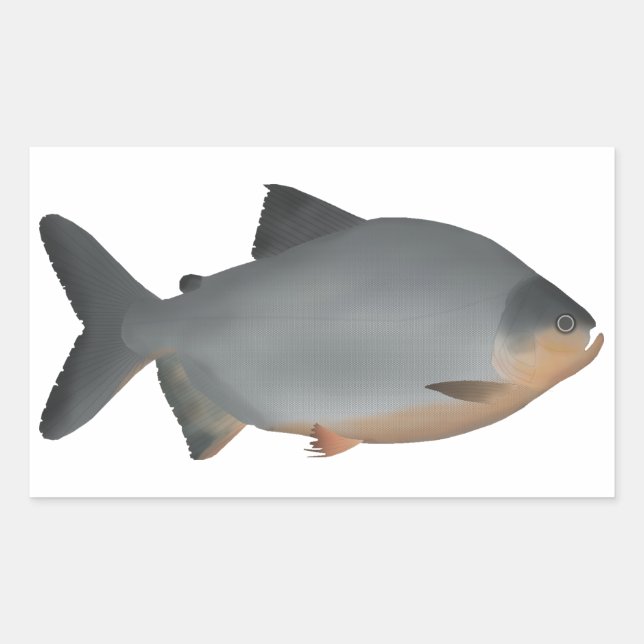 Red-bellied Pacu Rectangular Sticker (Front)