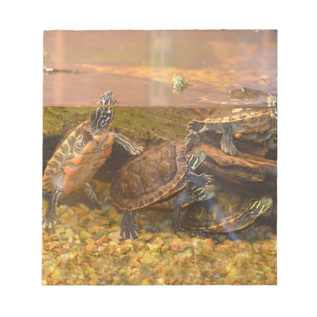 Red Bellied Turtle (Alabama) Notepad (Front)