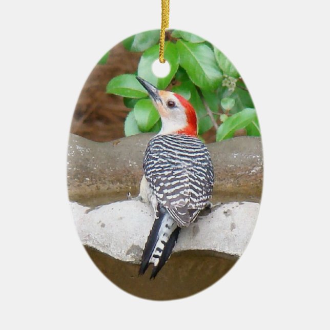 Red-bellied Woodpecker Ceramic Tree Decoration (Front)