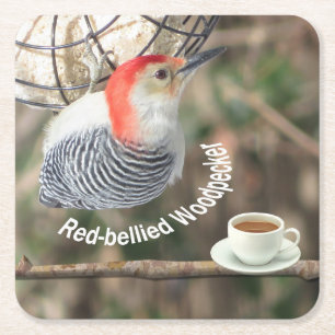 Red-bellied Woodpecker Coaster Set.
