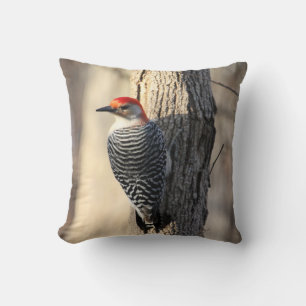 Red Bellied Woodpecker Cushion