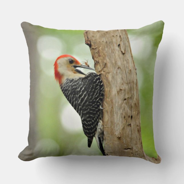 Red-Bellied Woodpecker Cushion (Front)