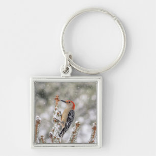 Red-bellied Woodpecker in the snow Key Ring