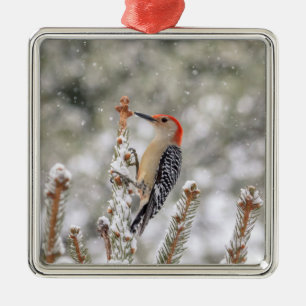 Red-bellied Woodpecker in the snow Metal Tree Decoration
