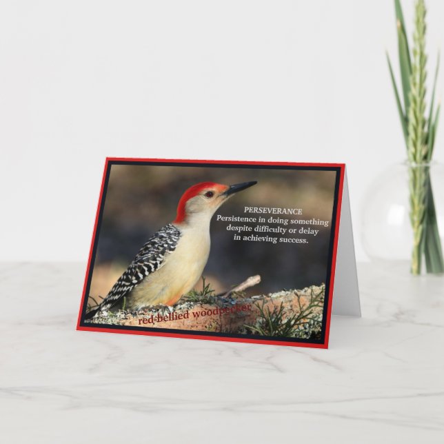 Red-Bellied Woodpecker Inspirational Perseverance Card (Front)
