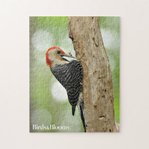 Red-Bellied Woodpecker Jigsaw Puzzle