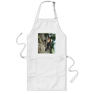 Red-bellied Woodpecker Long Apron